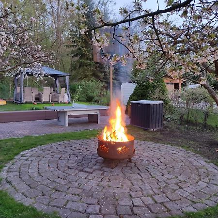 Grosszuegige Ferienwohnung Am Waldesrand Im Seenland Lauta Esterno foto