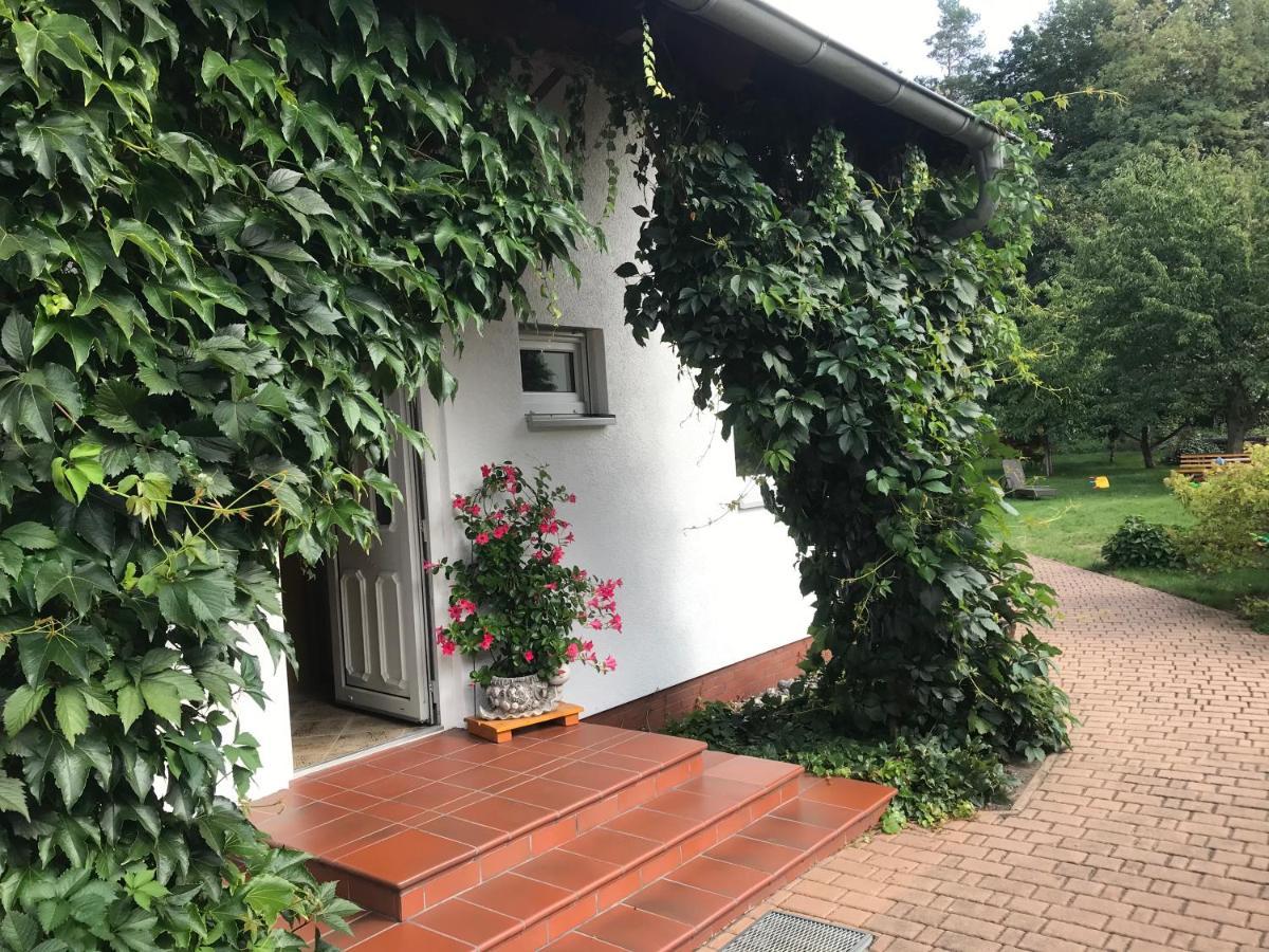 Grosszuegige Ferienwohnung Am Waldesrand Im Seenland Lauta Esterno foto
