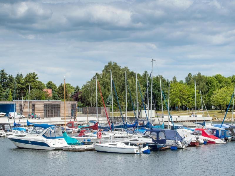 Grosszuegige Ferienwohnung Am Waldesrand Im Seenland Lauta Esterno foto
