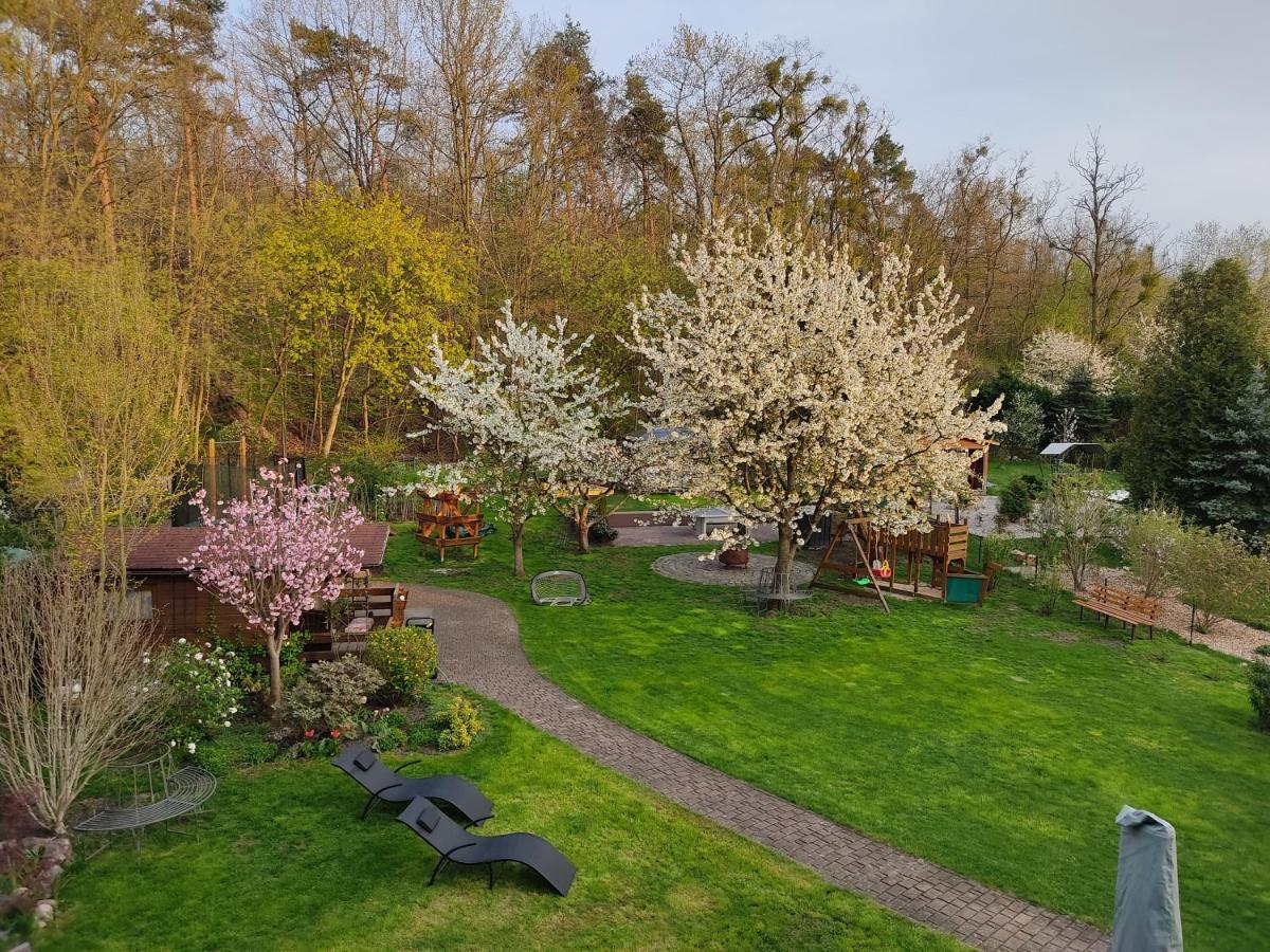 Grosszuegige Ferienwohnung Am Waldesrand Im Seenland Lauta Esterno foto